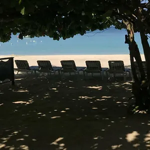 Firefly **** Negril
